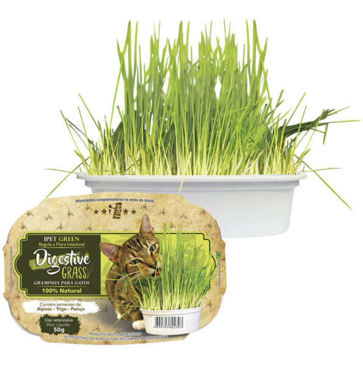 GRAMINHA IPET GREEN DIGESTIVE GRASS PARA GATOS 50G