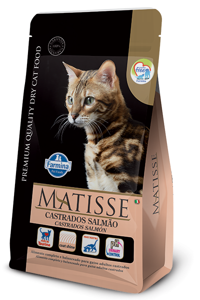 MATISSE CASTRADOS SALMAO 2 KG
