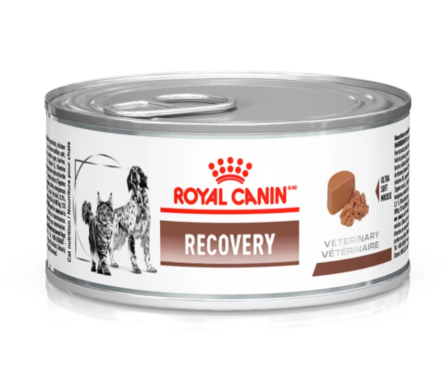 RECOVERY CANINE FELINE WET 195 GR