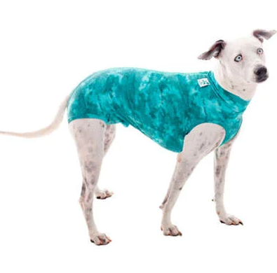 ROUPA CIRÚRGICA REGULAR DRY VERDE CÃO - N 09 (16-21KG)