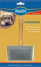 RASQUEADEIRA PROF 4