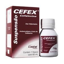 CEFEX SUSPENSAO 60 ML