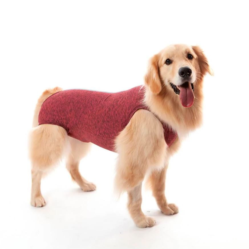 ROUPA CIRÚRGICA CÃES N 10, ROSA - REGULAR DRY (21-27 KG).