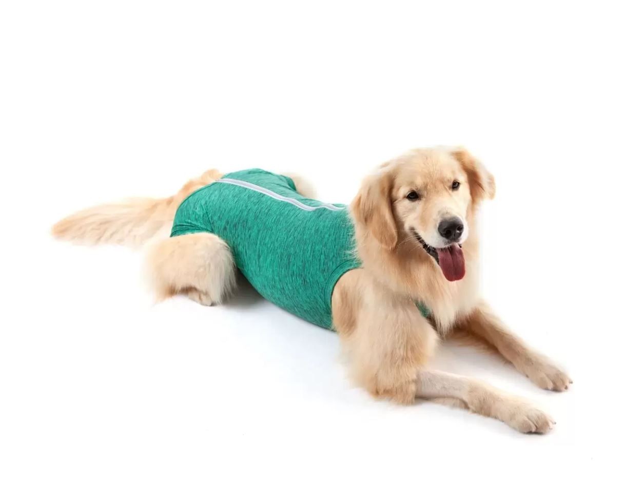 ROUPA CIRÚRGICA CÃES N 14, VERDE - REGULAR DRY (45-53 KG).