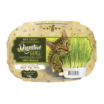 GRAMINHA IPET GREEN DIGESTIVE GRASS PARA GATOS 50G