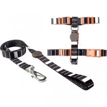 CONJUNTO PEITORAL E GUIA ECLIPSE (TAMANHO P)