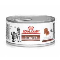 RECOVERY CANINE FELINE WET 195 GR