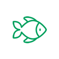 Peixes
